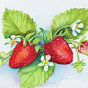 Strawberry Patch - F. Berry Border Art Print