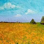Sunflower Fields-end Of Summer Art Print