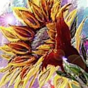 Sunflower In The Sun Art Print
