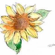 Sunflower Study Art Print