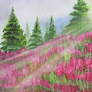 Sunkissed Wildflowers Art Print
