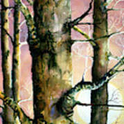 Sunset Forest Art Print