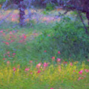 Sunset In Flower Meadow Art Print