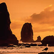 Sunset On Oregon Coast At Canon Beach Art Print