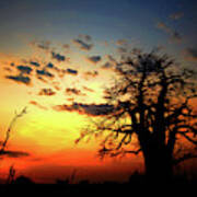 Sunset On The Zambezi Art Print