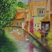 Swan Canal Art Print
