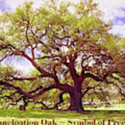 Symbol Of Freedom - Emancipation Oak Art Print