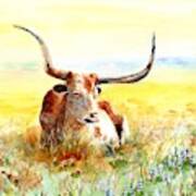 Texas Longhorn, Bluebonnets And Sunshine Art Print