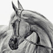 The Arabian Horse Art Print