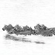 The Art Of Crossing ( Great Migration ) Art Print