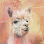 The Charismatic Alpaca Art Print