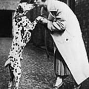 The Dalmatian Dog Kissing Its Owner Art Print