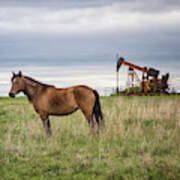 The Horse And The Pump Jack Art Print