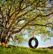 The Old Tire Swing Art Print