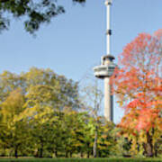 The Park, The Euromast And The Sweet Gum Tree Art Print