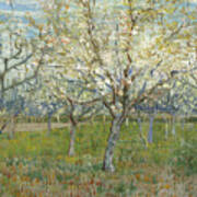 The Pink Orchard, 1888. Artist Gogh Art Print