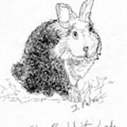 The Rabbit Lady Drawing Art Print