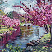 The Tree Blossom Reflections Art Print