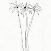 Three Tall Palm Trees- Art By Linda Woods Art Print
