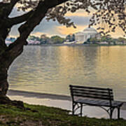 Tidal Basin With Cherry Blossoms And Art Print