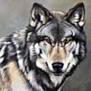 Timber Wolf By Alan M Hunt Art Print