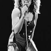 Tina Turner Art Print