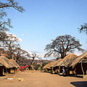 Traditional Thatched Houses And Baobabs Art Print