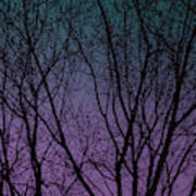 Tree Silhouette Against Blue And Purple Art Print
