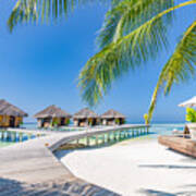 Tropical Beach In Maldives With Palm Art Print
