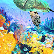 Turtle At The Reef Oil Painting Art Print