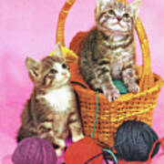 Two Kittens In A Basket Of Yarn Art Print