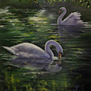 Serenity Swans Art Print