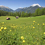 Tyrolean Summer Meadow Art Print