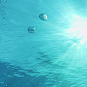 Underwater Sunbeams And Bubbles Art Print