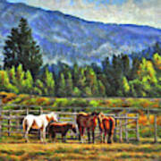 Valley With Horses Art Print