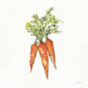 Veggie Market V Carrots Art Print