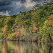 View Of The Lake Art Print