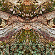 Watcher  In The Wood #1 - Human Face And Eyes Hiding In Mirrored Tree Feature- Green Man Art Print