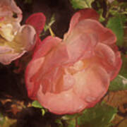 Weeping Rose Art Print