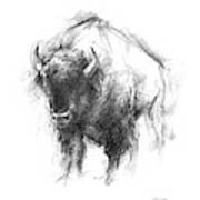 Western Animal Sketch I Art Print