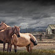 Western Horses By A Corral Art Print