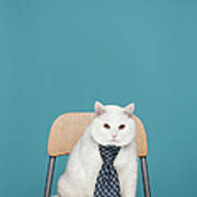 White Cat In  Tie Art Print