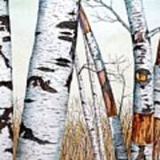 Wild Birch Trees In The Forest In Watercolor Art Print
