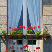 Window With Red Geraniums Art Print