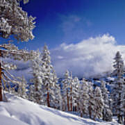 Winter In The High Sierra Mountains Art Print