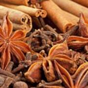 Winter Spices Cloves, Allspice, Star Anise, Cinnamon Art Print