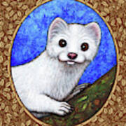 Winter Weasel Portrait - Brown Border Art Print