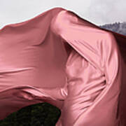 Woman Covered In Pink Material Outdoors Art Print