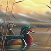 Wood Ducks Art Print