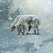 Yaks Calves In A Snowstorm Art Print